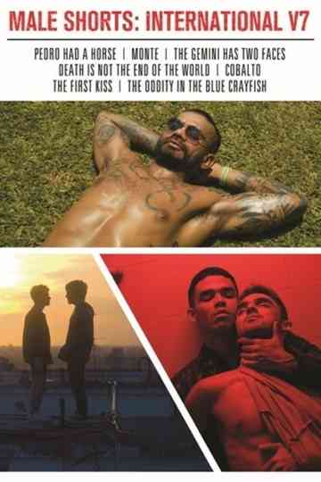 Male Shorts: International V7 Poster
