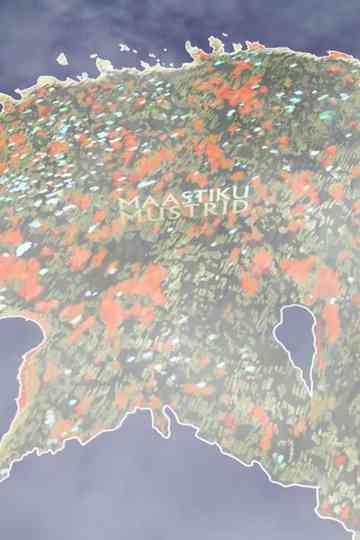 Maastiku mustrid Poster