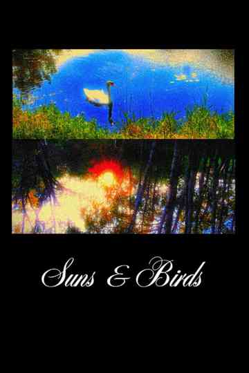Suns & Birds Poster