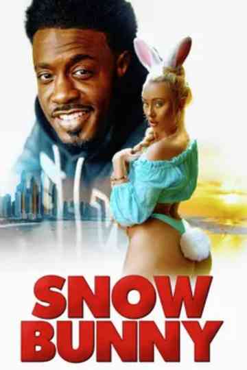 Snow Bunny Poster