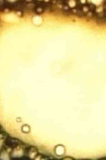 Rite of the Black Sun Poster