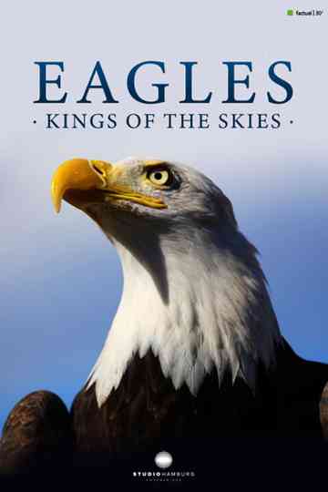 Eagles - Kings of the skies Poster
