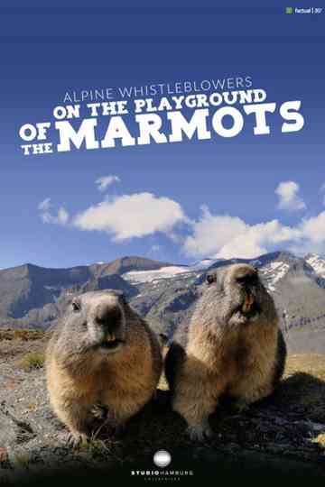 Alpine Whistleblowers - on the playground of the marmots Poster