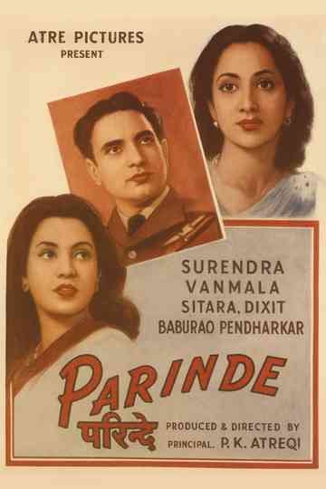Parinde Poster