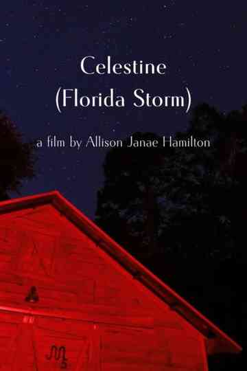 Celestine (Florida Storm) Poster