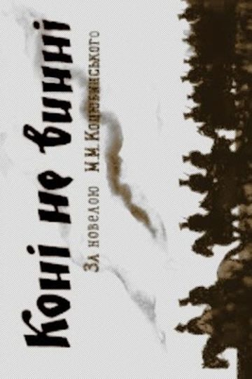 The Horses Are Not Guilty