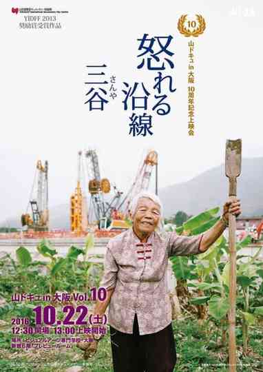 Raging Land 3: Three Valleys Poster