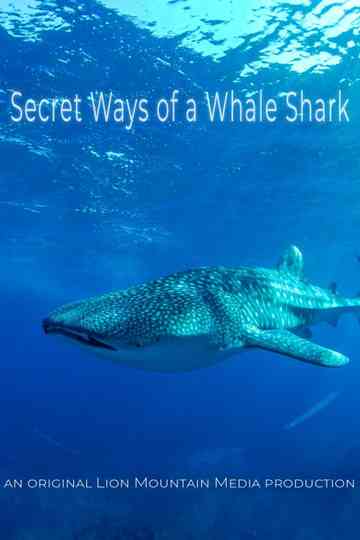 Le long voyage d'un requin-baleine Poster