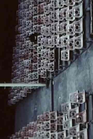 Birthday Celebration, or a Silent Balkan Story Poster