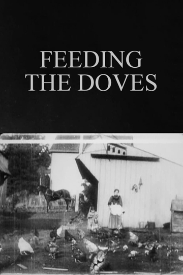 Feeding the Doves Poster