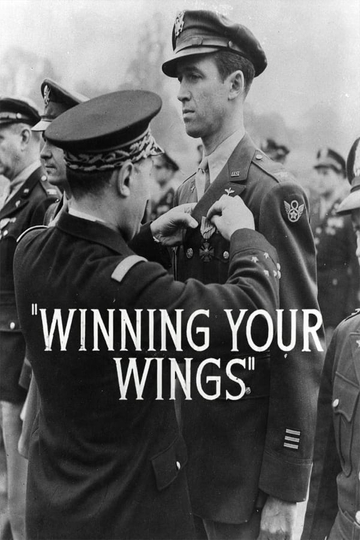 Winning Your Wings Poster