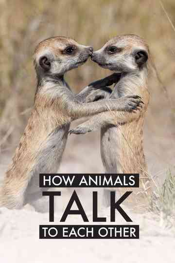 How Animals Talk To Each Other Poster