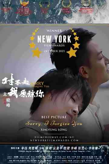 Sorry, I Forgive You Poster