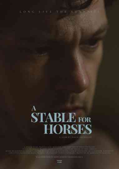 A Stable for Horses Poster