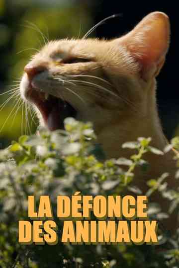 La défonce des animaux Poster