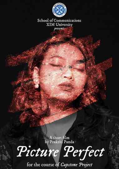 Picture Perfect Poster