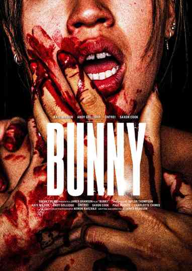 Bunny Poster