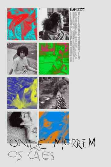 Onde Morrem os Cães Poster