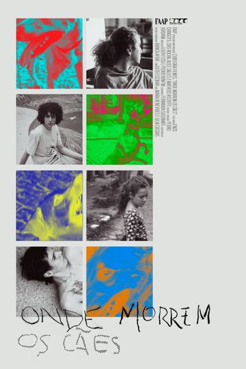 Onde Morrem os Cães