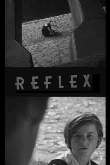 Reflex Poster