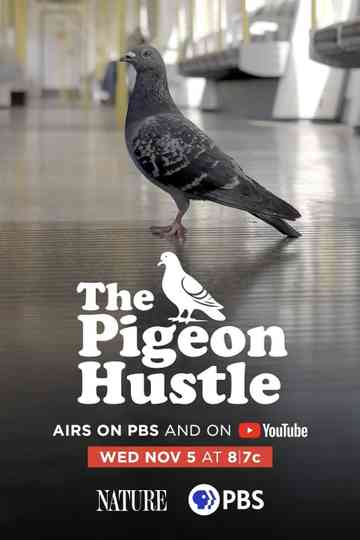 The Pigeon Hustle Poster
