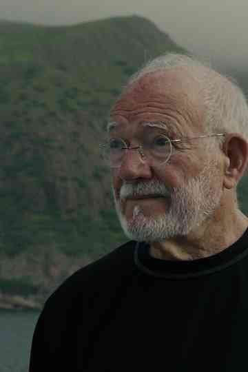 Chão Verde de Pássaros Escritos Poster