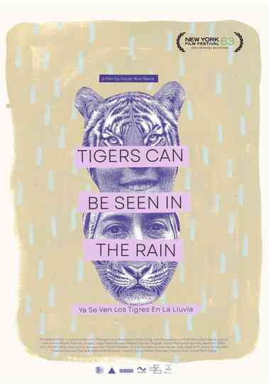 Tigers Can Be Seen In The Rain Poster