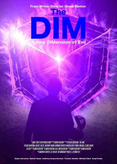 The Dim Poster