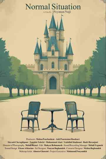 Normal Situation Poster