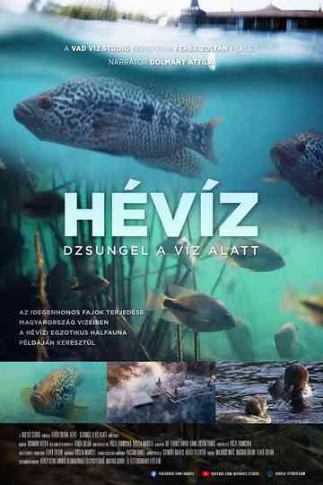 Hévíz − Dzsungel a víz alatt Poster