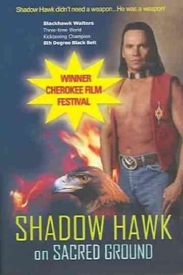 Shadow Hawk on Sacred Ground Poster