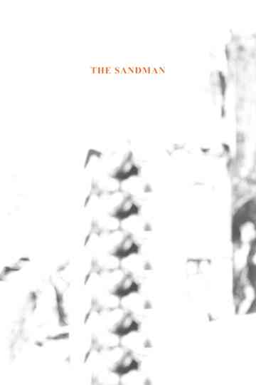 The Sandman Poster