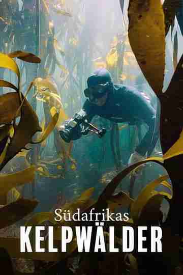 Der Kelpwald - Südafrikas geheimnisvolle Unterwasserwelt Poster