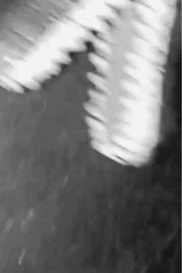 Dinosaur Farm B&W Poster