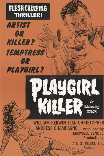 Playgirl Killer Poster