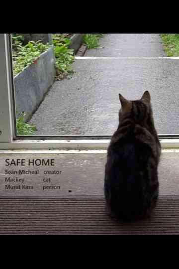 Safe Home Poster