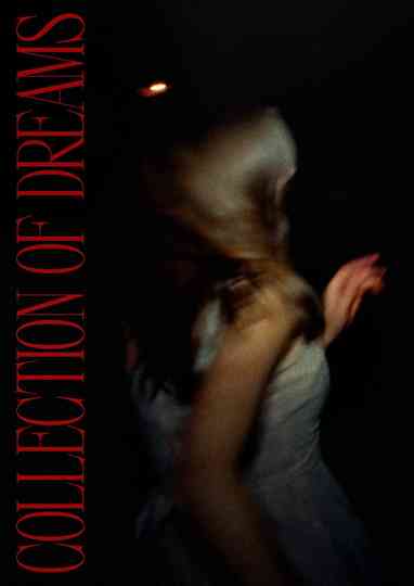 Collection Of Dreams Poster