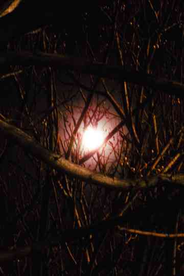 Sad and Empty Poster