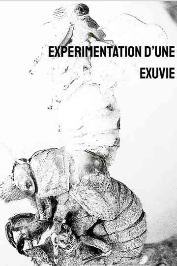Expérimentation d'une exuvie Poster