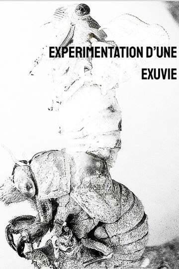 Expérimentation d'une exuvie