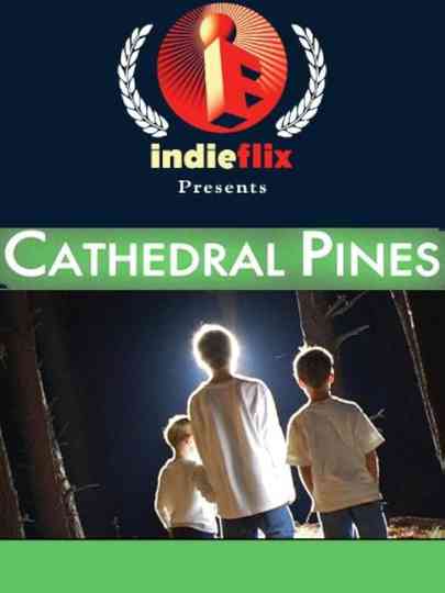 Cathedral Pines Poster