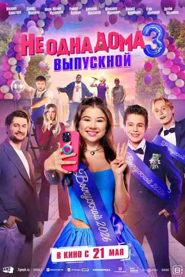 Not Home Alone 3 Poster