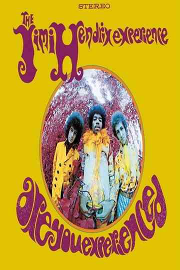 Are You Experienced Poster