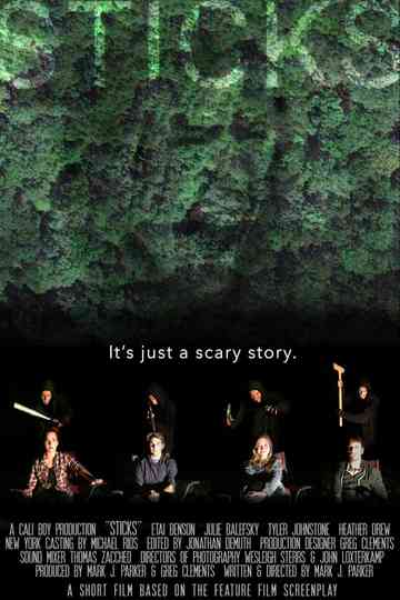 Sticks Poster