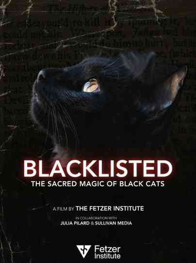 Blacklisted Poster
