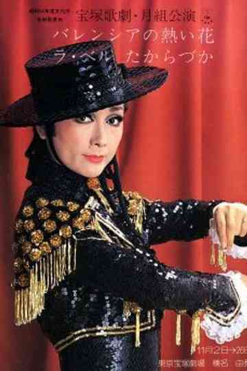 Valencian Passion Poster