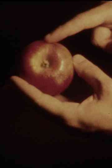 Ejercicios de solsticio Poster