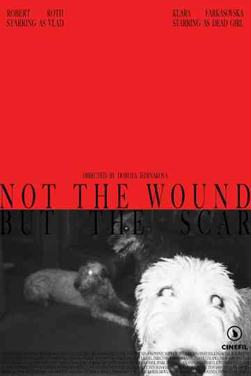 Not the Wound but the Scar Poster