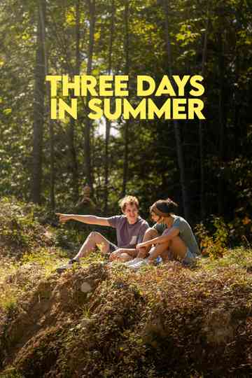 Three Days in Summer Poster