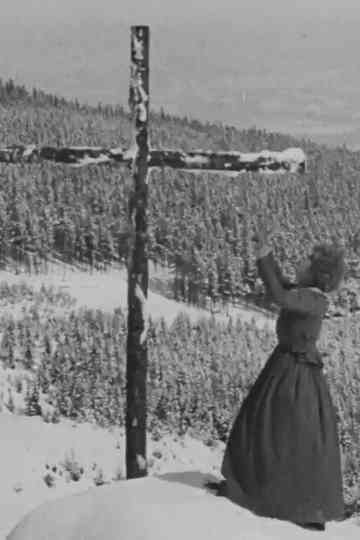 Winter Storms Poster